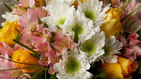 petridis flowers